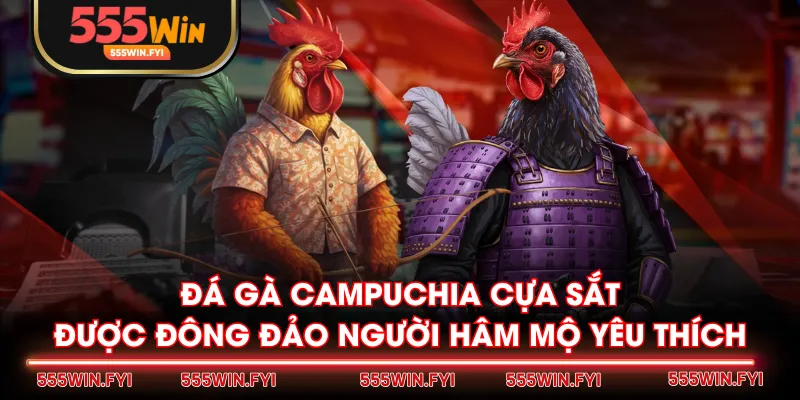 Đá gà Campuchia cựa sắt được đông đảo người hâm mộ yêu thích