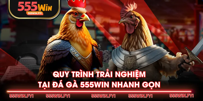 Quy trình trải nghiệm tại Đá Gà 555WIN nhanh gọn